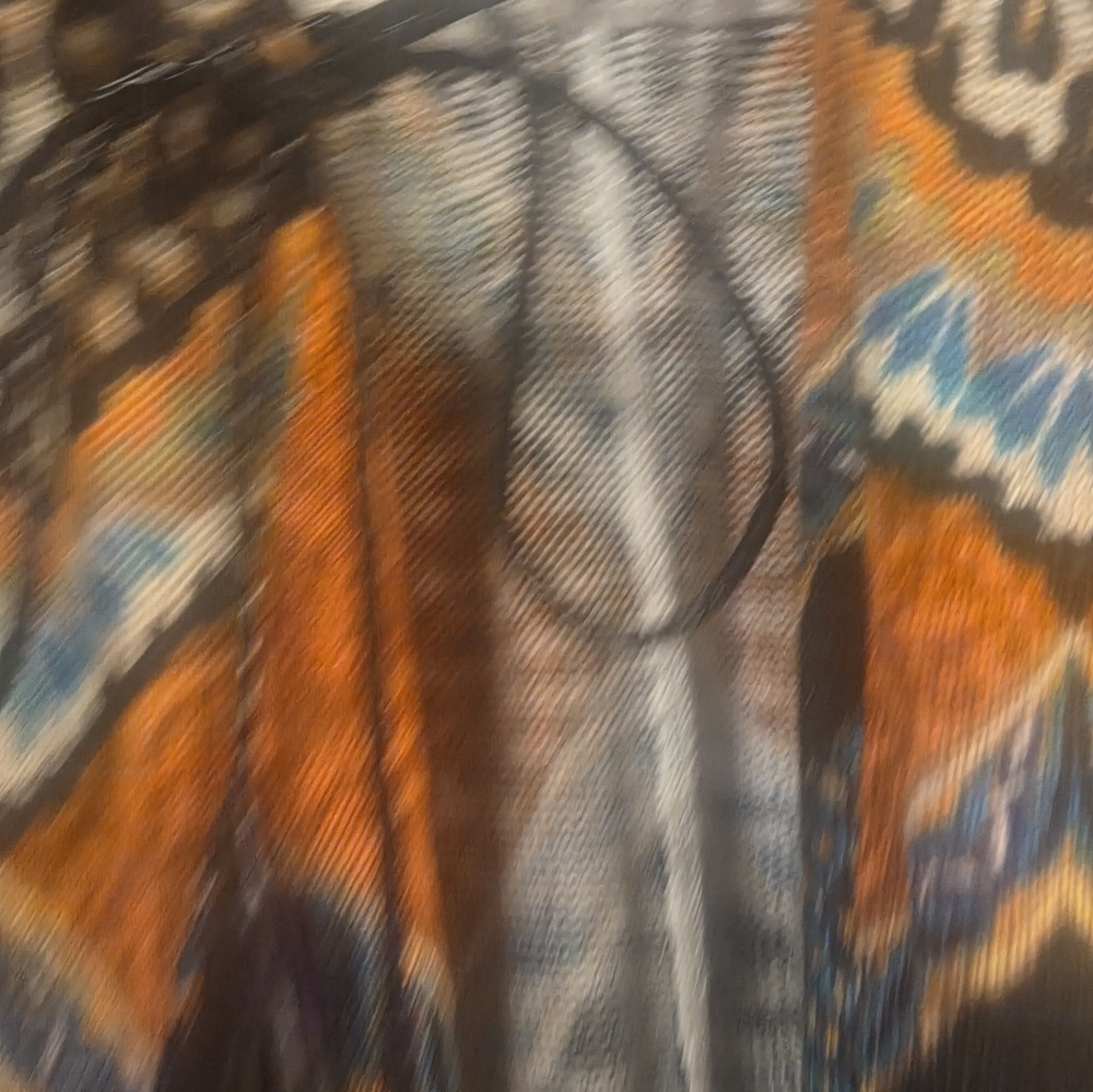 Multicolor Patterned Women's Chicos Multicolor Pr… - image 2